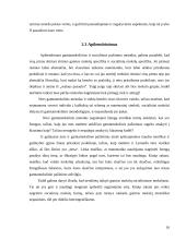 Reduktyvizmas ir antireduktyvizmas 10 puslapis