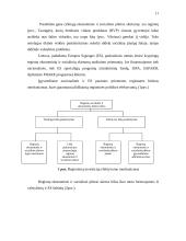 Regionų finansavimo šaltiniai 11 puslapis