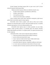 Regionų finansavimo šaltiniai 13 puslapis