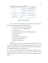 Regionų finansavimo šaltiniai 15 puslapis