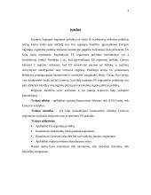 Regionų finansavimo šaltiniai 3 puslapis