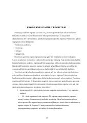 Registrai ir jų rūšys 13 puslapis