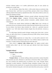 Reklamos rūšys ir organizavimas 11 puslapis