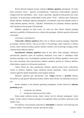 Reklamos rūšys ir organizavimas 14 puslapis