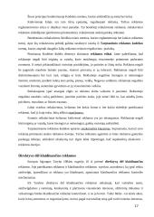 Reklamos rūšys ir organizavimas 16 puslapis