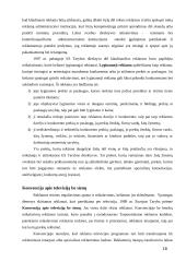 Reklamos rūšys ir organizavimas 17 puslapis