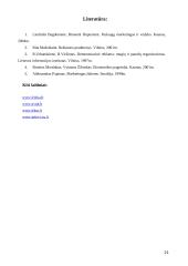 Reklamos rūšys ir organizavimas 20 puslapis