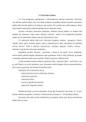 Reklama ir jos poveikis visuomenėje 11 puslapis