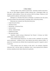 Reklama ir jos poveikis visuomenėje 12 puslapis