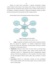 Reklama ir tyrimo reikšmė 16 puslapis