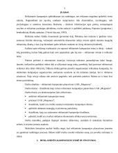 Reklaminės kampanijos planavimas įmonėje: UAB "Meganora" 2 puslapis