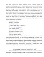 Reklaminės kampanijos planavimas įmonėje: UAB "Meganora" 5 puslapis