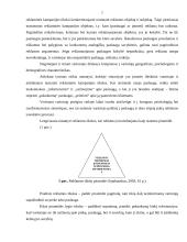 Reklaminės kampanijos planavimas įmonėje: UAB "Meganora" 6 puslapis