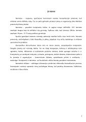 Reklaminių antraščių įkainių analizė