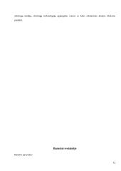 Reklaminių antraščių įkainių analizė 11 puslapis