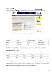 Reklaminių antraščių įkainių analizė 12 puslapis