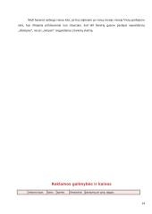 Reklaminių antraščių įkainių analizė 13 puslapis