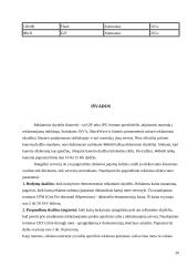 Reklaminių antraščių įkainių analizė 19 puslapis