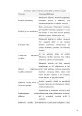 Reklaminių antraščių įkainių analizė 9 puslapis