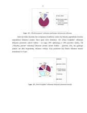 Reklaminių kampanijų palyginimas: AB "Pieno žvaigždės" ir AB "Vilkyškių pieninė" 20 puslapis