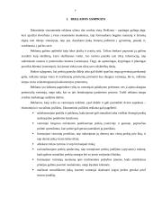 Reklaminių kampanijų palyginimas: AB "Pieno žvaigždės" ir AB "Vilkyškių pieninė" 3 puslapis