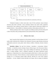 Reklaminių kampanijų palyginimas: AB "Pieno žvaigždės" ir AB "Vilkyškių pieninė" 6 puslapis