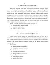 Reklaminių kampanijų palyginimas: AB "Pieno žvaigždės" ir AB "Vilkyškių pieninė" 9 puslapis
