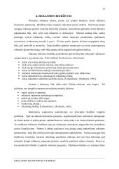 Reklamos ekonominis vaidmuo 13 puslapis