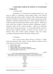 Reklamos ekonominis vaidmuo 15 puslapis