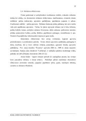 Reklamos ekonominis vaidmuo 19 puslapis