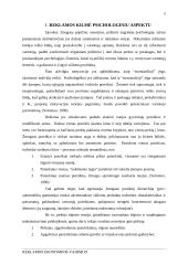 Reklamos ekonominis vaidmuo 5 puslapis