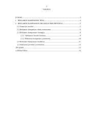 Reklamos kampanijų organizavimo principai 2 puslapis