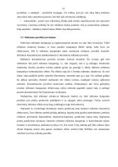 Reklamos kampanijų organizavimo principai 13 puslapis