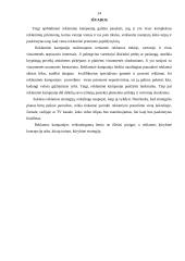 Reklamos kampanijų organizavimo principai 14 puslapis