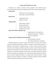 Reklamos kampanijų organizavimo principai 4 puslapis