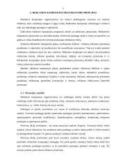 Reklamos kampanijų organizavimo principai 5 puslapis