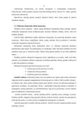 Reklamos kampanijų organizavimo principai 6 puslapis