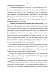 Reklamos kampanijų organizavimo principai 8 puslapis