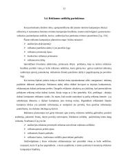 Reklamos kampanijos ir jų organizavimo principai 13 puslapis