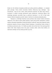 Reklamos kampanijos ir jų organizavimo principai 16 puslapis