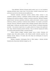 Reklamos kampanijos ir jų organizavimo principai 17 puslapis