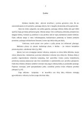 Reklamos kampanijos ir jų organizavimo principai 3 puslapis