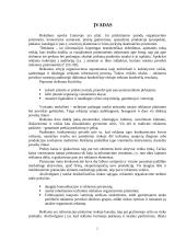 Reklamos organizavimas 2 puslapis