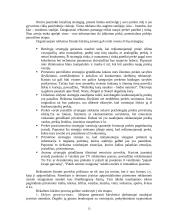 Reklamos organizavimas 13 puslapis