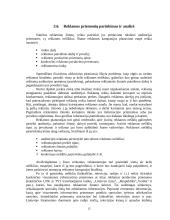 Reklamos organizavimas 15 puslapis