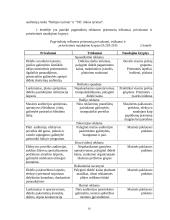 Reklamos organizavimas 16 puslapis