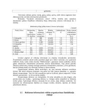 Reklamos organizavimas 17 puslapis