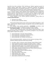 Reklamos organizavimas 19 puslapis