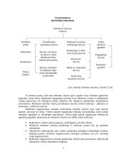 Reklamos organizavimas 8 puslapis