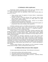 Reklamos organizavimas 9 puslapis